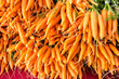 Fresh orange carrots at the market