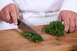 Chef chopping parsley