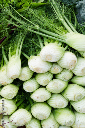 Photo: Fresh fennel bulbs at the market Fresh fennel bulbs at the market