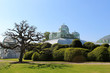 Belgique - Serres royales de Laeken 