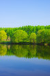 Forest lake