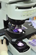 Microscope