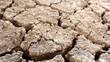 Dolly shot of cracked dry earth