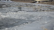 breakaway frozen pieces of ice along the coast goes people