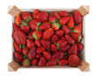 Strawberry in box