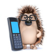 Cute hedgehog works out his tax bill