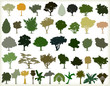 Silhouettes of trees. Vector set