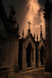 Photo: Mysterious alley of a cemetery Mysterious alley of a cemetery
