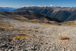 scree on slopes in Nelson Lakes National Park