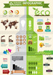 ECO & green concept infographic