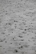 Foto: Regenwetter... Regenwetter...