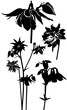 Vektor: Columbine Aquilegia lily - the magic flower elves Columbine Aquilegia lily - the magic flower elves