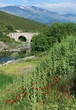Photo: Corse, pont génois dans le cortenais Corse, pont génois dans le cortenais