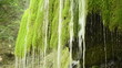 Silver streams of waterfall