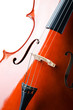 Violin isolated on the white background
