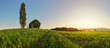 Sunset over green wheat field with path and chapel in Slovakia -