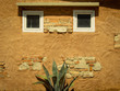verwitterte Hauswand Detail mit Fenster und Pflanze 10