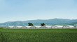 Photo: Greenhouse plantation and cultivated land Greenhouse plantation and cultivated land