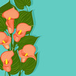 Floral background with red calla flowers