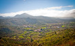 Farmfield on Tenerife