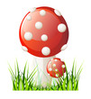 Vector red mushroom