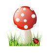 Vector red mushroom