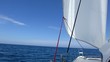Segel-Katamaran in voller Fahrt - Segeln