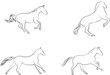 horses silhouette drawing