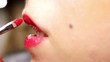 makeup, professional makeup, body art