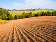 Plowed field