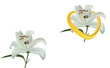 ape con fiore