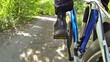 Cycling in the forest