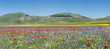 Castelluccio Italia 2012  40X90