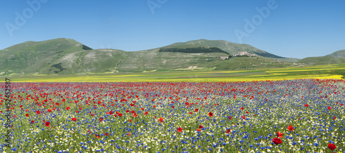 Photo: Castelluccio Italia 2012 40X90 Castelluccio Italia 2012 40X90