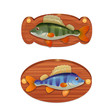 Perch on the wooden board