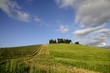 Foto: Vineyards Vineyards