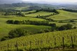 Chianti