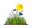 lavanda e farfalle blu