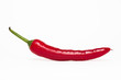 Red hot pepper