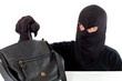 Thief stealing