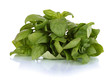 Green fresh basil isolated on white