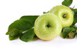 Juicy green apples with leaves, isolated on white