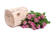 Clover flowers near a wooden deck isolated on white background