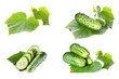 Cucumbers on white background with green leaf