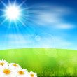 Summer field