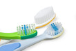Colorful toothbrushes