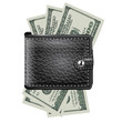 Leather wallet  with dollar USA. Vector