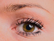 canvas print picture - Braunes Auge einer jungen Frau