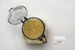 Quinoa