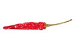 Chili